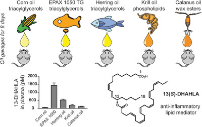 Triacylglycerol-Rich Oils of Marine Origin are Optimal Nutrients for Induction of Polyunsaturated Docosahexaenoic Acid Ester of Hydroxy Linoleic Acid (13-DHAHLA) with Anti-Inflammatory Properties in Mice