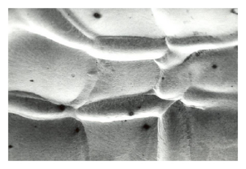Details are in the caption following the image