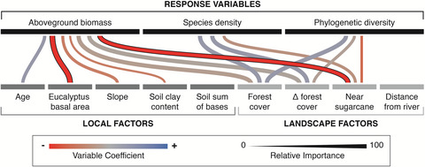 It is not just about time: Agricultural practices and surrounding forest cover affect secondary forest recovery in agricultural landscapes