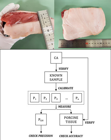 Accurately calibrated frequency domain diffuse optical spectroscopy compared against chemical analysis of porcine adipose tissue