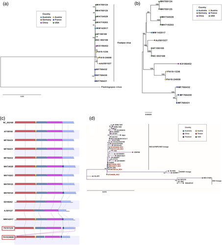 Details are in the caption following the image Details are in the caption following the image