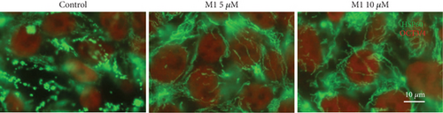 Details are in the caption following the image Details are in the caption following the image