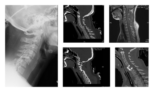 Details are in the caption following the image Details are in the caption following the image