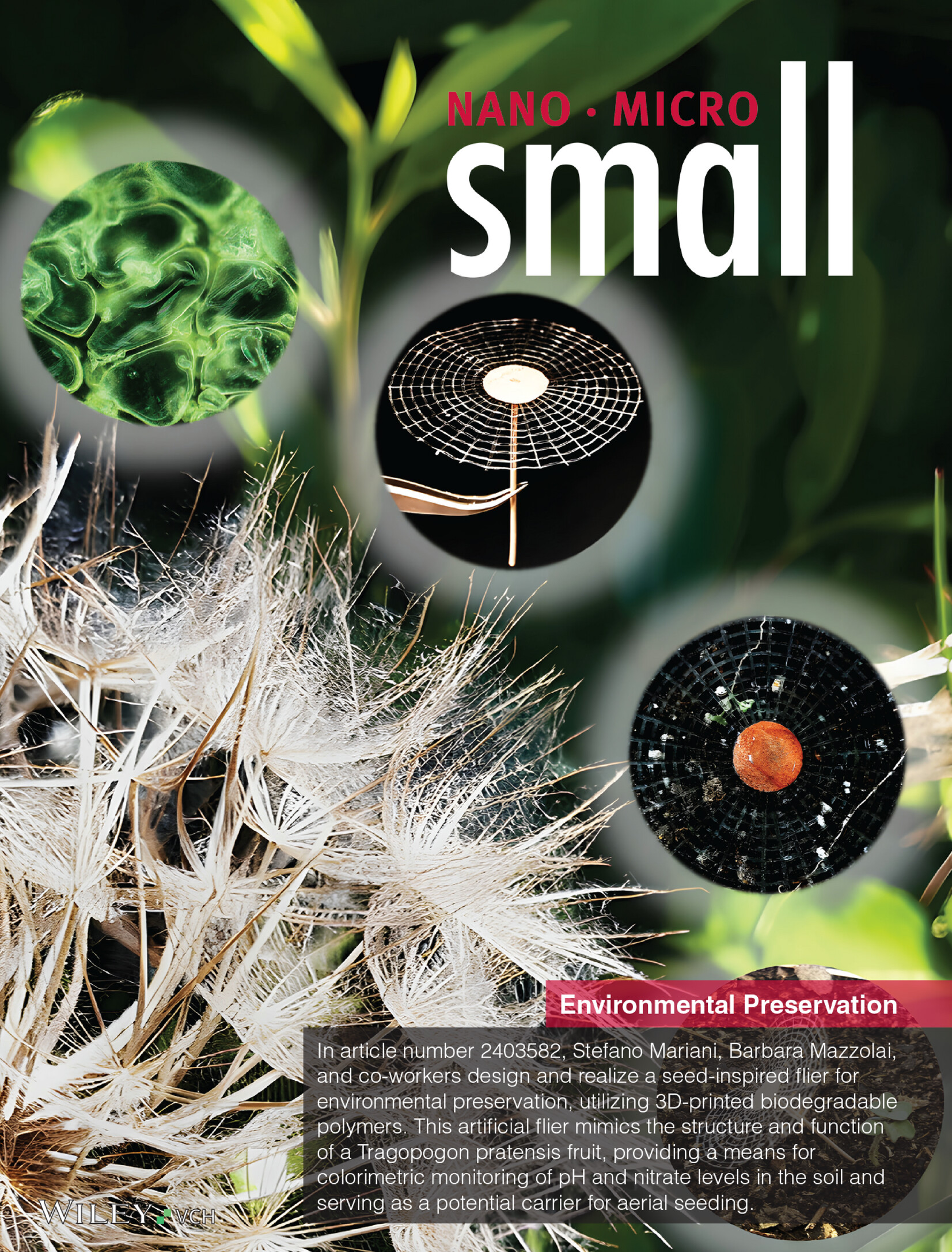 A Biodegradable, Porous Flier Inspired by a Parachute-Like Tragopogon Fruit for Environmental Preservation (Small 3/2025) Volume 21 Issue 3, 2025