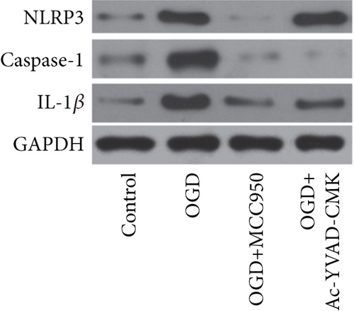Details are in the caption following the image