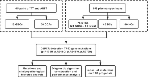 Quantitative detections of TP53 gene mutations improve the diagnosis and prognostic prediction of biliary tract cancers using droplet digital PCR