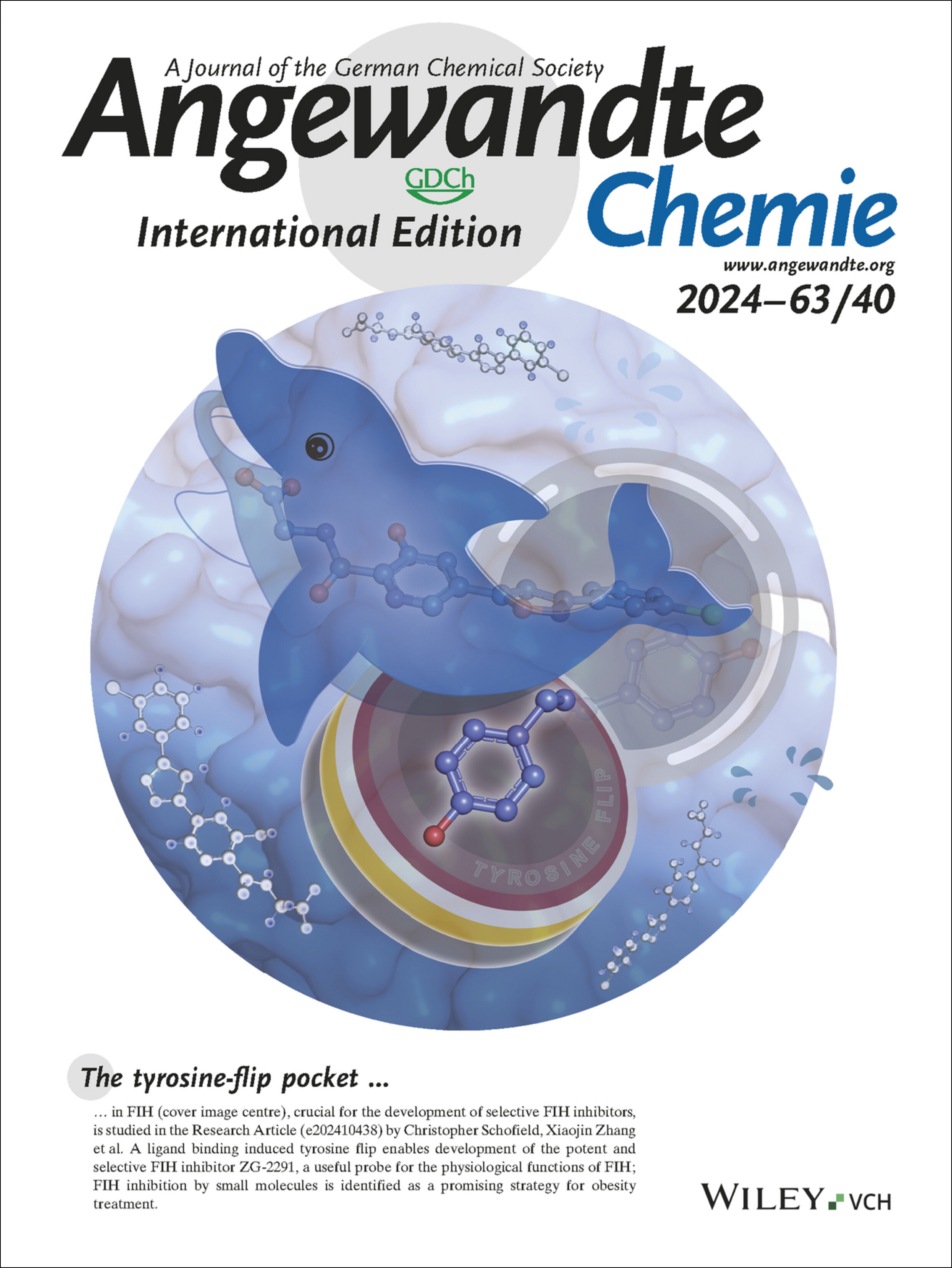 Inside Back Cover: A Small-Molecule Inhibitor of Factor Inhibiting HIF Binding to a Tyrosine-Flip Pocket for the Treatment of Obesity (Angew. Chem. Int. Ed. 40/2024) Volume 63 Issue 40, 2024