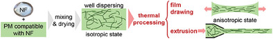 Orientation of Chitin Nanofibers Dispersed in a Thermoplastic Polymer Matrix Through Dry Thermal Stretching