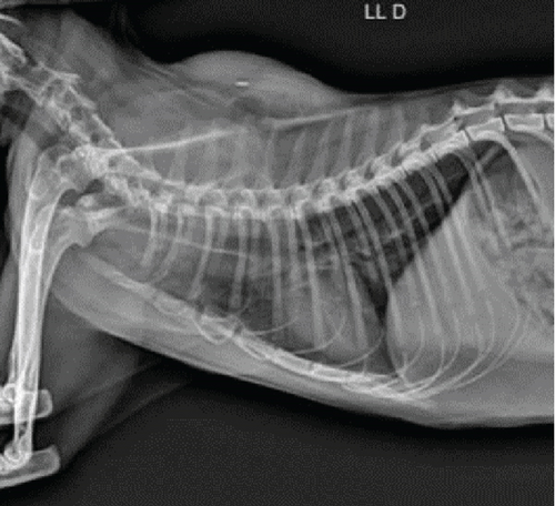 Details are in the caption following the image