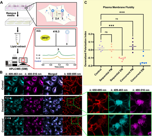 Details are in the caption following the image Details are in the caption following the image