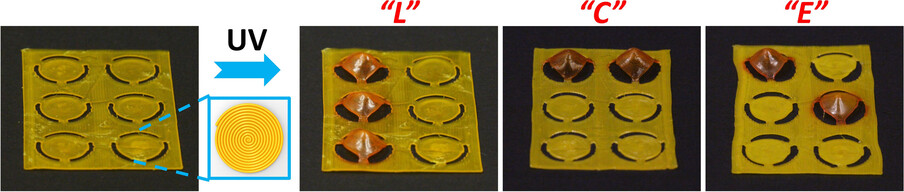 4D-Printing of Photoswitchable Actuators