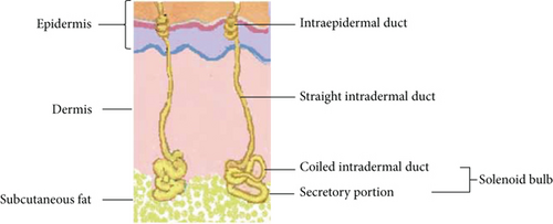Details are in the caption following the image
