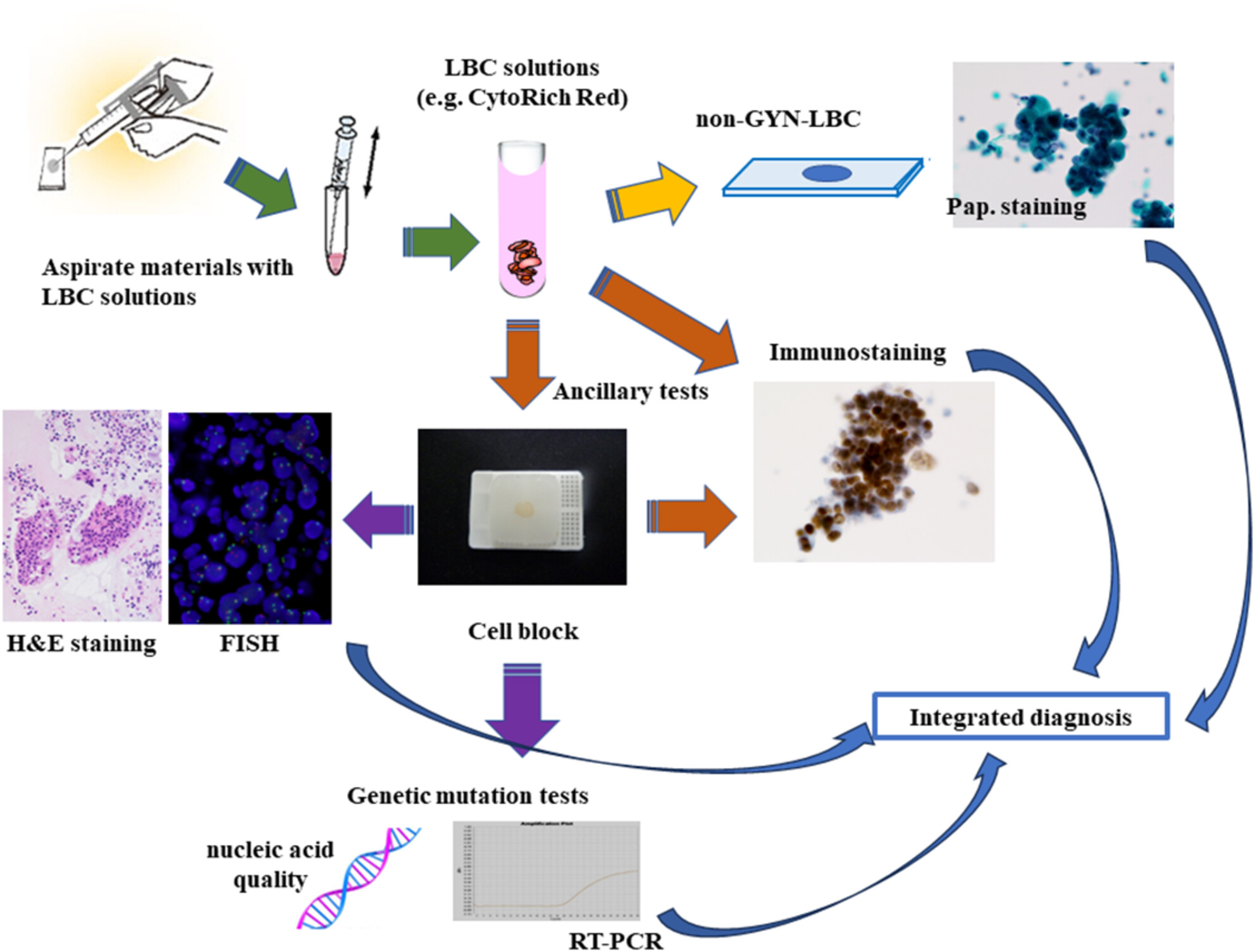 Advances in diagnostic liquid-based cytology