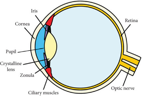 Details are in the caption following the image
