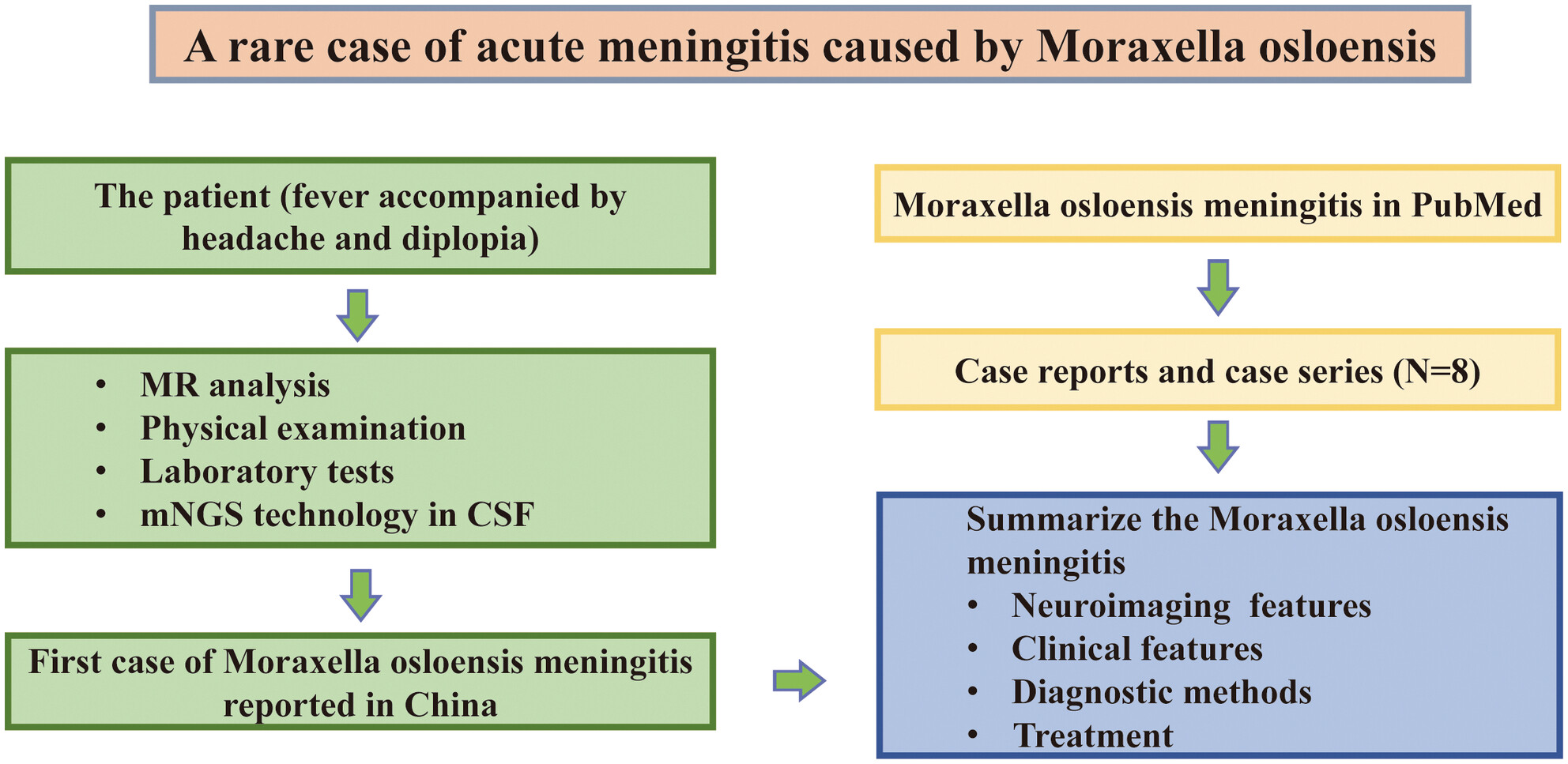 A rare case of acute meningitis caused by Moraxella osloensis