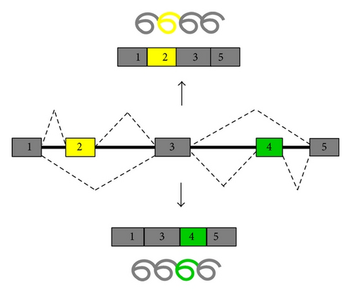 Details are in the caption following the image