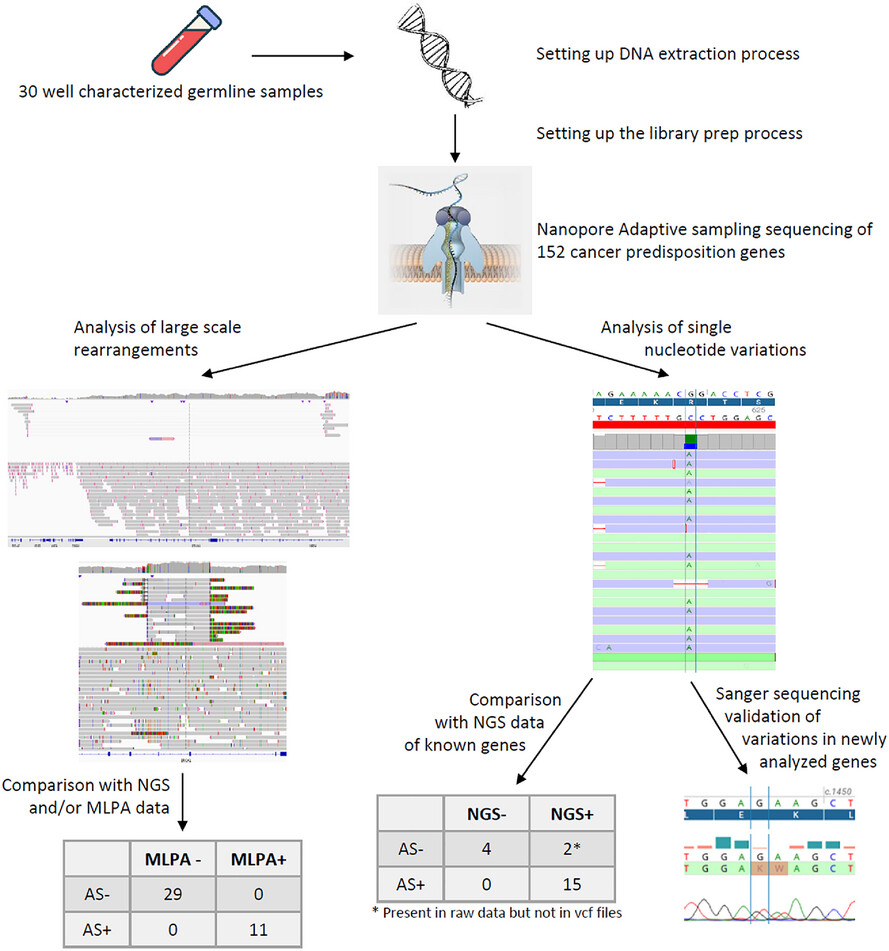 Nanopore adaptive sampling accurately detects nucleotide variants and improves the characterization of large-scale rearrangement for the diagnosis of cancer predisposition