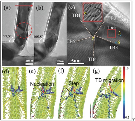 Study of the Mechanical Behavior of Radially Grown Fivefold Twinned Nanowires on the Atomic Scale
