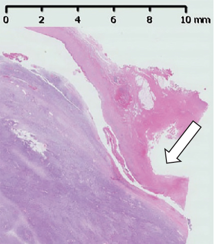 Details are in the caption following the image