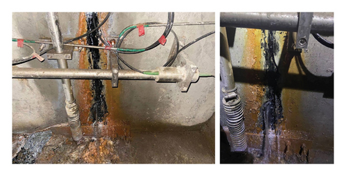 Details are in the caption following the image Details are in the caption following the image