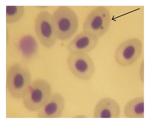 Details are in the caption following the image