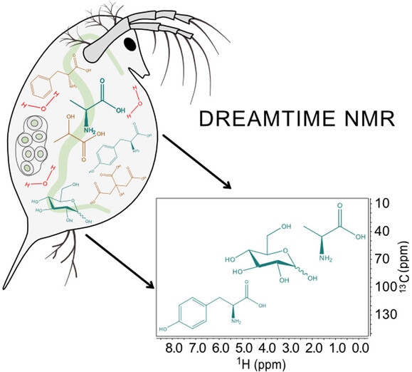 DREAMTIME NMR Spectroscopy: Targeted Multi-Compound Selection with Improved Detection Limits