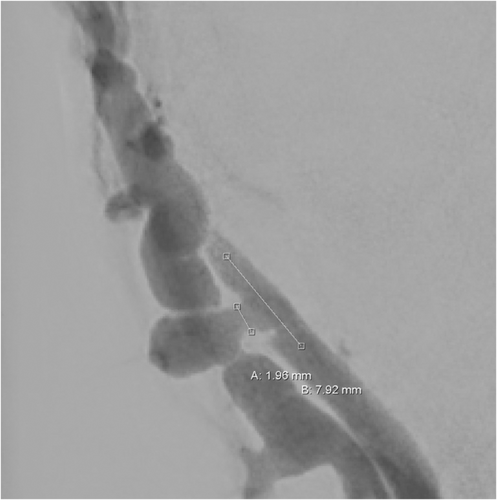 Details are in the caption following the image Details are in the caption following the image