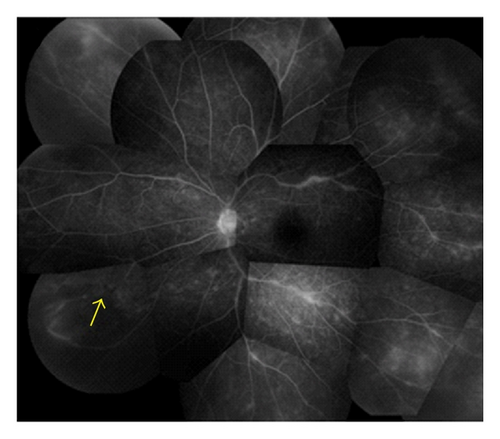 Details are in the caption following the image Details are in the caption following the image