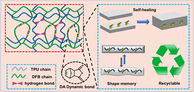 Polyurethane toughened covalent adaptive networks epoxy composite based on thermoreversible Diels-Alder reaction: Self-healable, shape memory, and recyclable
