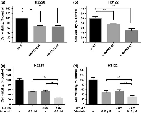 Effects of SMYD2-mediated EML4-ALK methylation on the signaling pathway and growth in non-small-cell lung cancer cells