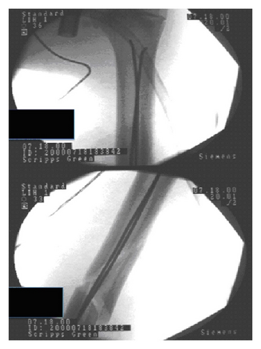 Details are in the caption following the image Details are in the caption following the image