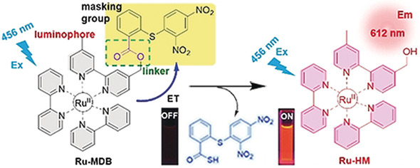Quantitative Monitoring and Visualization of Hydrogen Sulfide In Vivo Using a Luminescent Probe Based on a Ruthenium(II) Complex