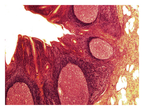 Details are in the caption following the image Details are in the caption following the image