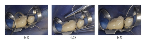 Details are in the caption following the image Details are in the caption following the image