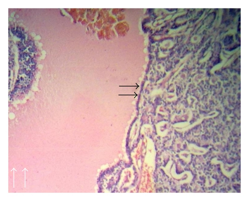 Details are in the caption following the image
