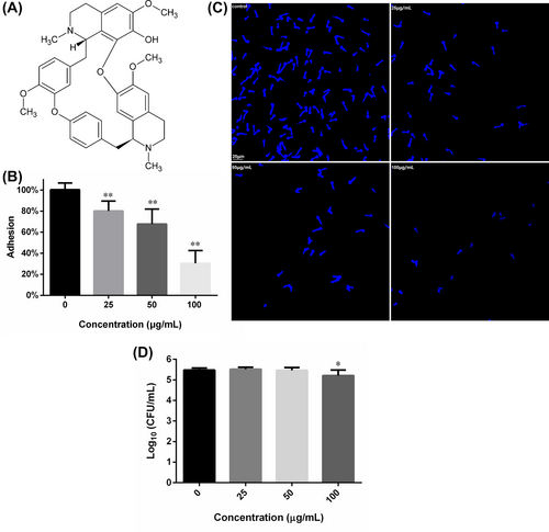 Details are in the caption following the image Details are in the caption following the image