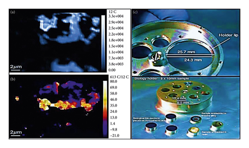 Details are in the caption following the image Details are in the caption following the image