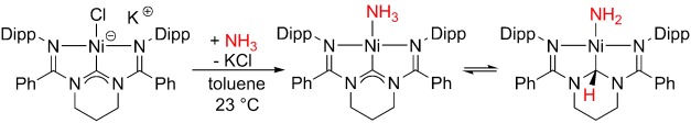 Ammonia Activation by a Nickel NCN-Pincer Complex featuring a Non-Innocent N-Heterocyclic Carbene: Ammine and Amido Complexes in Equilibrium