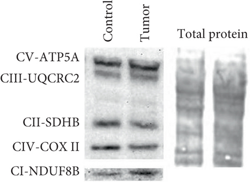 Details are in the caption following the image
