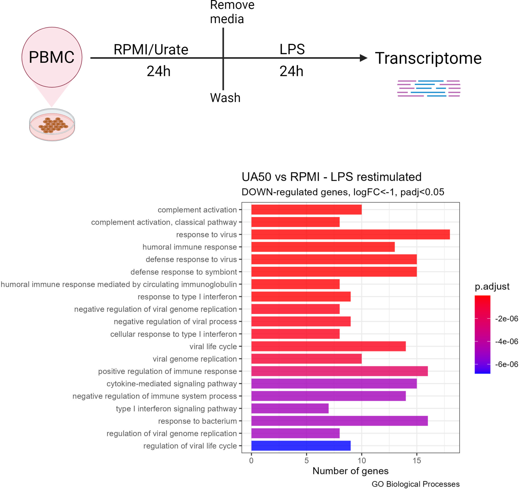 Downregulation of type I interferon signalling pathway by urate in primary human PBMCs
