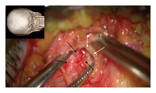 Details are in the caption following the image Details are in the caption following the image