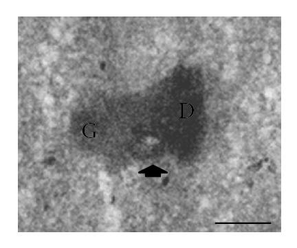Details are in the caption following the image