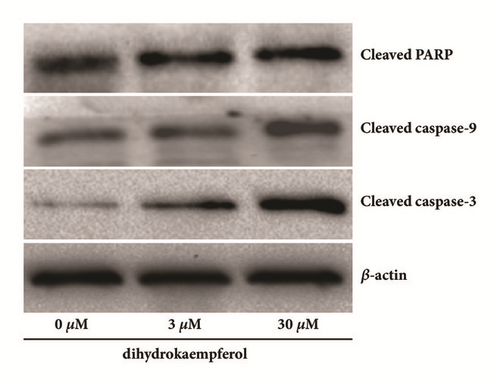 Details are in the caption following the image