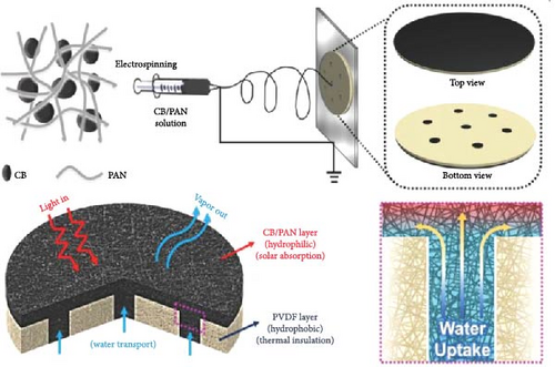 Details are in the caption following the image Details are in the caption following the image