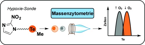 Identification of Hypoxic Cells Using an Organotellurium Tag Compatible with Mass Cytometry