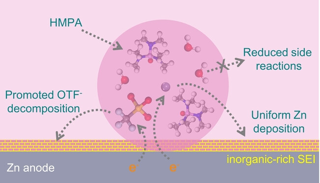 Solvation Modulation Enhances Anion-Derived Solid Electrolyte Interphase for Deep Cycling of Aqueous Zinc Metal Batteries