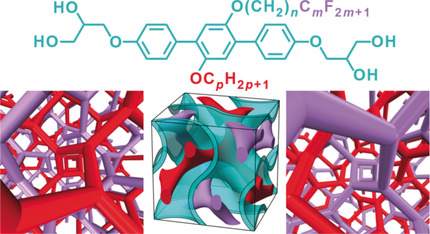 Chirality Induction through Nano-Phase Separation: Alternating Network Gyroid Phase by Thermotropic Self-Assembly of X-Shaped Bolapolyphiles