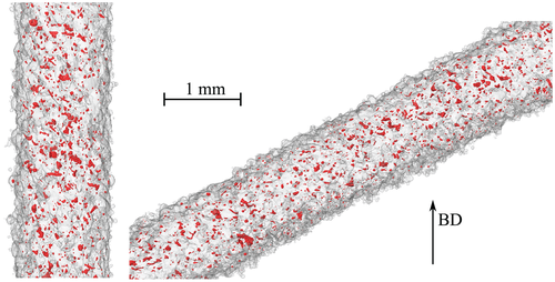 Details are in the caption following the image Details are in the caption following the image