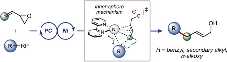 Photoredox/Nickel-Catalyzed Single-Electron Tsuji–Trost Reaction: Development and Mechanistic Insights