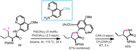 Use of a Readily Removable Auxiliary Group for the Synthesis of Pyrrolidones by the Palladium-Catalyzed Intramolecular Amination of Unactivated γ C(sp3)<span class='icomoon'></span>H Bonds